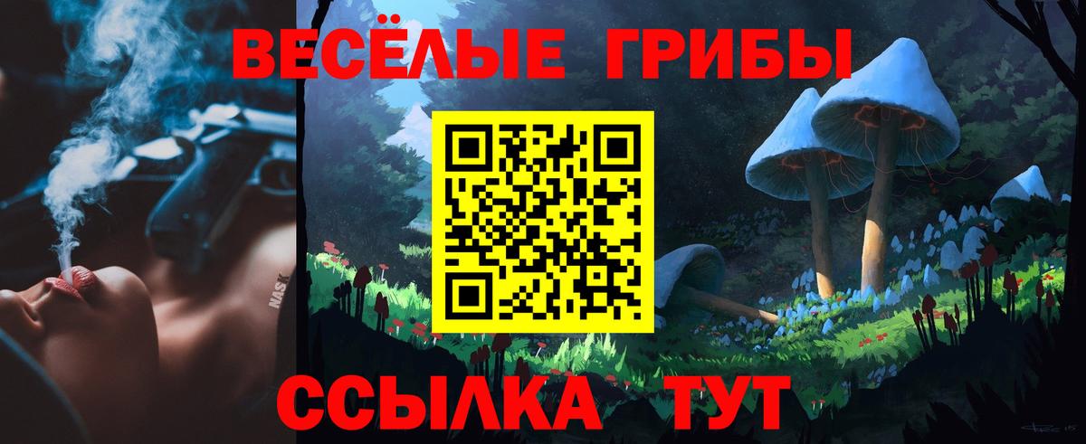 наркота  Псилоцибиновые грибы мицелий  Вход с VPN  Гагарин 